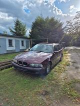 BMW E39 523i Touring - BMW 523 aus 2000: 523i