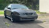 Ford Mustang SN95 new Edge - Ford aus 2001