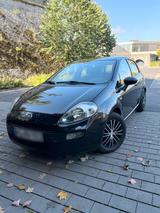 Fiat Punto 1.2 8V POP | 5-Türer | EURO6 - Fiat Punto: Türer