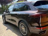 Porsche Cayenne Diesel Platinum Edition Platinum Edition - Porsche Cayenne Gebrauchtwagen in München