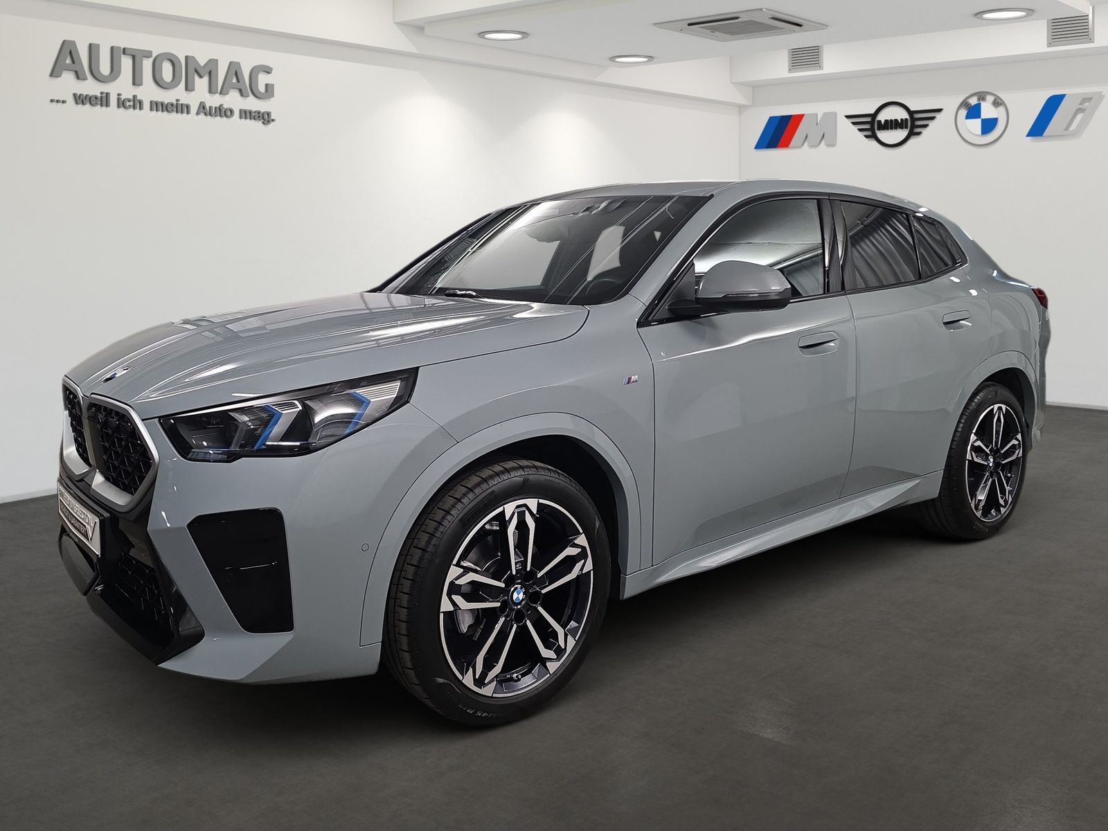 BMW X2 sDrive20d M-Sportpaket, Driving Assist, Parki