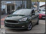 Ford Grand C-Max 2.0 Automatik Navi B-Xenon AHK Carpl - Ford Grand C-Max mit Diesel-Antrieb: Kleinbus, 2.0