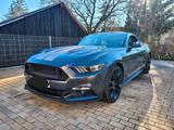 Ford Mustang GT Fastbck - Ford Mustang Unfallwagen