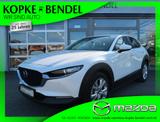 Mazda CX-30 Selection*Automatik*1.Hand*LED*Navi* Mazda - Mazda: Mazda3