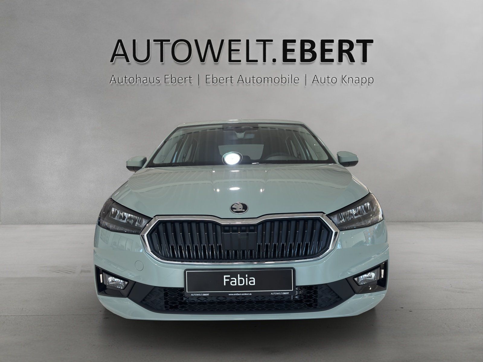 Fahrzeugabbildung SKODA Fabia Essence 1,0 TSI 70 kW Klima/PDC/LMF/Lane