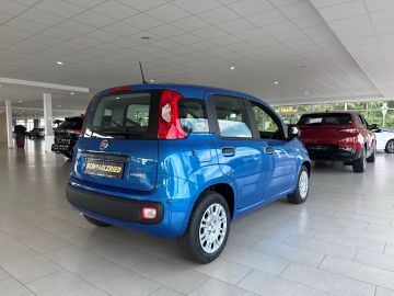 Bild 5 Fiat Panda DAB Spurhalteass. Verkehrszeichenerk. Notb