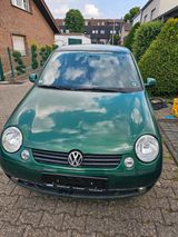 Volkswagen VW/Volkswagen Lupo 6X 50PS - Volkswagen Lupo: 6x