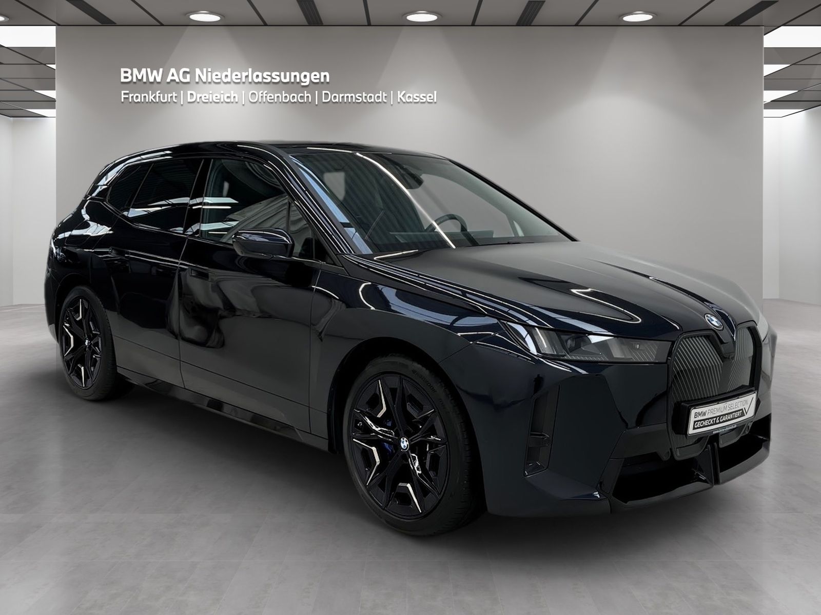 BMW iX xDrive45 M Sport AHK Driv.Assist.Prof Kamera foto 3