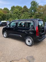 Citroën Berlingo MPV You M - Citroën Berlingo aus 2024