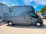 Fiat Ducato Böckmann 2 Pferdetransporter - Tier- & Pferdetransport für 2 Pferde