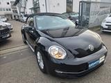 Volkswagen Beetle Cabriolet Design - gebrauchte Volkswagen Beetle aus dem Jahr 2013
