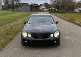 Mercedes-Benz Mercedes E220 CDI - Mercedes-Benz E 220 aus 2007: Cdi