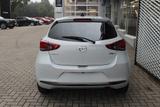 Mazda 2 M-Hybrid G-90 Homura ACAA LED Klimaaut. SHZ RF - Mazda 2 Gebrauchtwagen