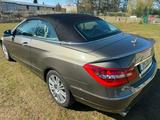 Mercedes-Benz E 250 Cabriolet E 250 CDI BlueEFF. AVANTGARD... - Mercedes-Benz E 250: Cabrio, Cdi