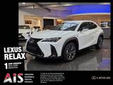 Lexus UX 300h F Sport Design ACC FLA SpurH LM - Lexus UX in Dresden