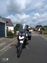 Triumph Tiger  - TRIUMPH ENDURO