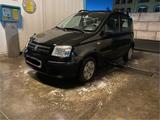 Fiat Panda - Fiat Panda in Dresden