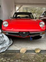 Alfa Romeo Spider 2000 Cabrio - Alfa Romeo aus 1980