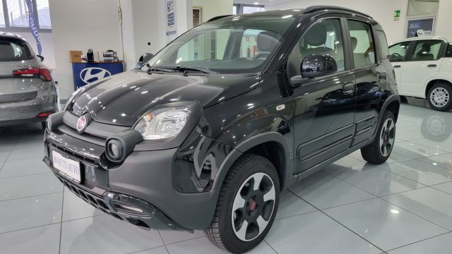 Image of Fiat Panda