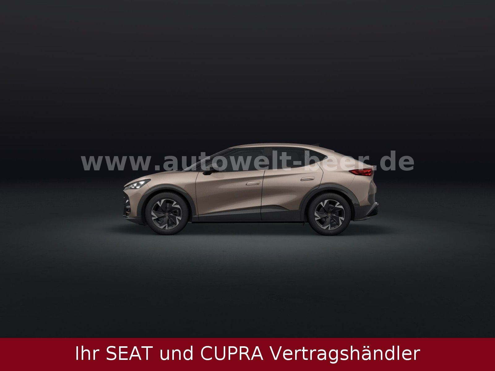 Cupra Tavascan - Bild 3