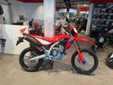 Honda CRF300 2025 Grand Prix Red *Tageszulassung 09-25