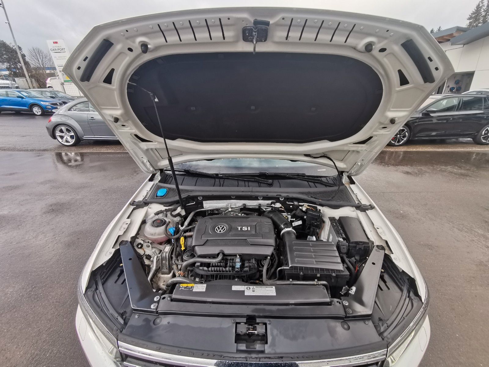 Volkswagen Passat Variant 4MOTION STHZ AHK MASSAGE foto 3