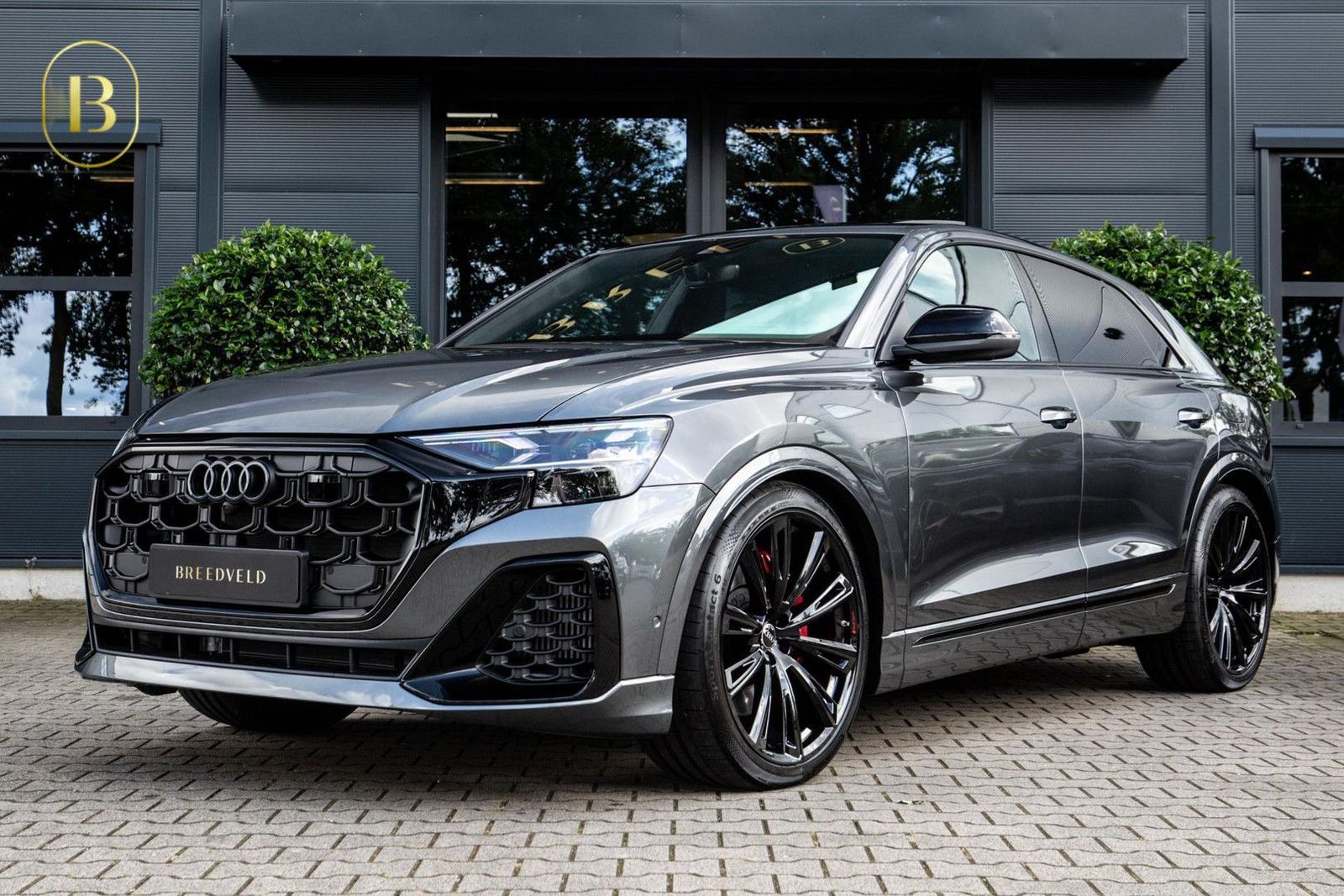 Audi Q8 60 TFSI e Competition 490pk, Carbon, Full-opt