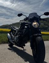 Yamaha Gladius SFV 650 - Angebote