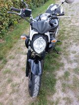 Suzuki Gladius 650 ABS - Offers matching your search criteria