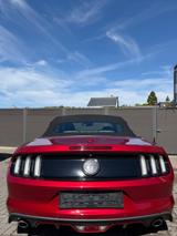 Ford Mustang 5.0 Ti-VCT V8 GT Auto GT* Benzin/LPG - Ford Mustang Gebrauchtwagen in Wuppertal