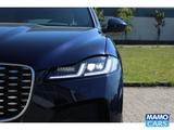 Jaguar F-Pace SE AWD AHK/Pixel/Allwetter/Memory/Portofi - Jaguar in Bielefeld
