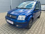 Fiat Panda 1.2 8V Dynamic - Fiat Panda: Blau