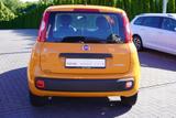 Fiat Panda 1.0 Mild Hybrid City Life Sitzheizung DAB - Fiat Panda Gebrauchtwagen in Berlin