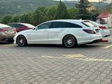 Mercedes-Benz CLS 63 AMG Shooting Brake - Mercedes-Benz CLS 63 AMG Shooting Brake aus 2013
