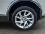 Cupra Formentor 1.5 TSI DSG Parklenkassistent LED - Cupra Formentor in Mannheim