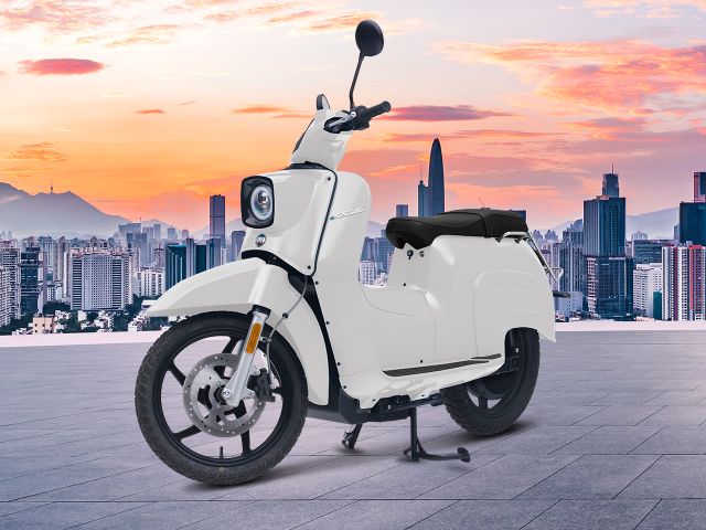 Govecs eSchwalbe L1e 1st Edition !Aktionspreis!