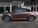 Volkswagen BEETLE CABRIO 2.0 TDI Allstar Plus Automatik - Volkswagen Beetle: Auto