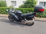 Honda CBR 1100XX BLACK BIRD  - HONDA CB1100