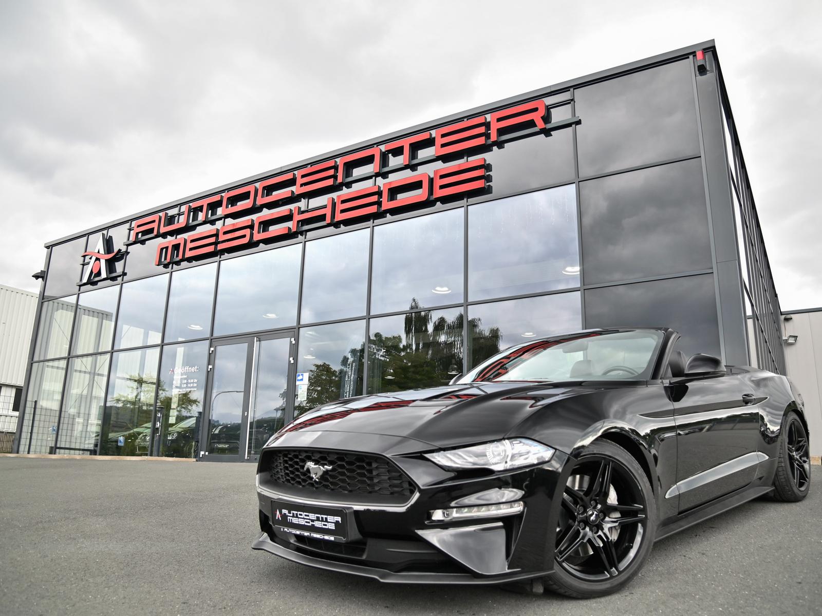 Ford Mustang Cabrio 2.3 EcoBoost Navi* B&O* Premium 4
