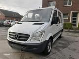 Mercedes-Benz Mercedes sprinter 209cdi/ 6sitzer mixto/  ... - Mercedes-Benz Sprinter: 209 Cdi