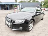 Audi A5 Cabriolet 2.0,Automatik,Sitzheizung, - Audi A5 aus 2009: Cabrio