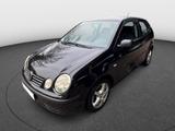 Volkswagen Polo 1.2 - 2.Hand-Klima-Alu-Tüv&Öl Neu - aus 2003: Kleinwagen