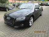 Audi A5 2.0 TFSI  Cabriolet / Leder / AUT - Audi A5 aus 2010: Cabrio