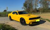 Dodge Challenger V8 SRT 6,4 Liter selten in gelb - Dodge Challenger: Srt8