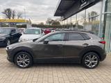 Mazda CX-30 SKYACTIV-G 2.0 Selection Design-Paket - Mazda CX-30 in Stuttgart