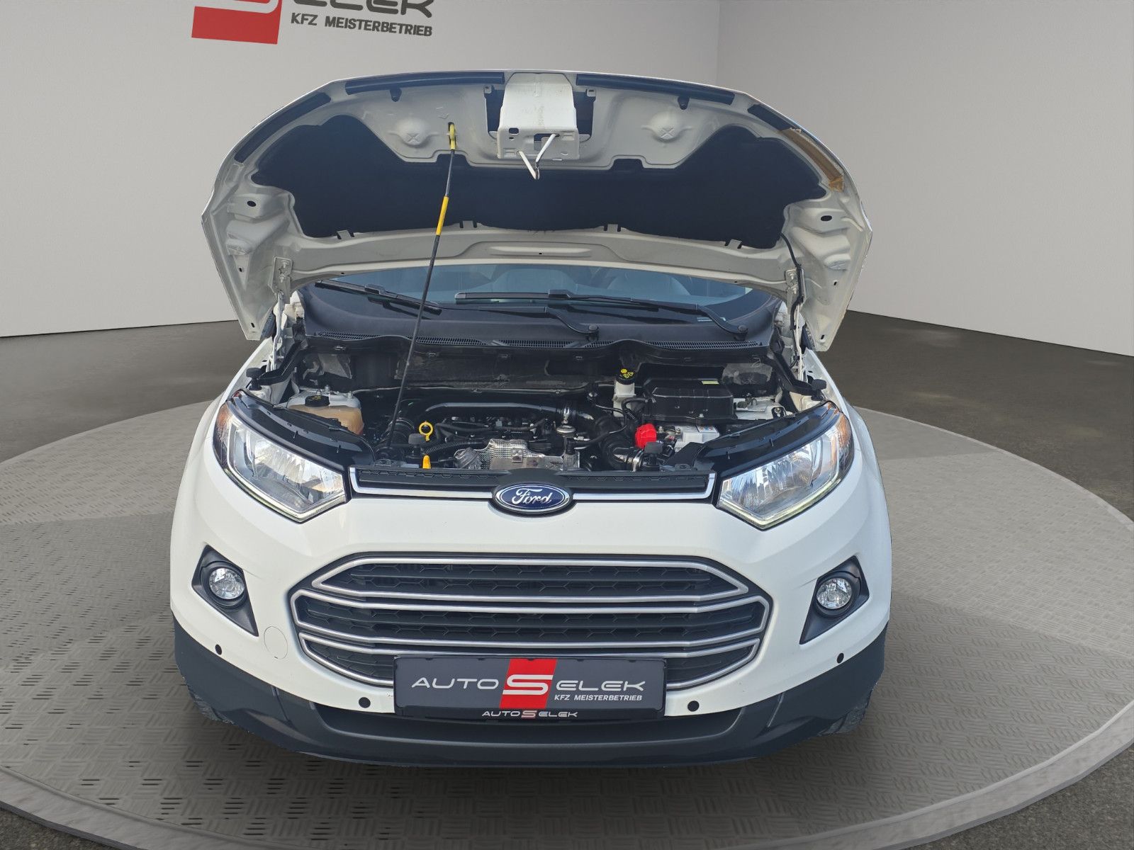 Fahrzeugabbildung Ford EcoSport Trend/KLIMA/RÜCKFAHRKAMERA