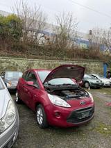 Ford Ka/Ka+ 1,2 Trend Trend - Ford Ka/Ka+ in Wuppertal