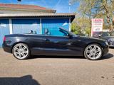 Audi A5 Cabriolet 2.0 TDI +BIXENON/LED+ALCANTARA+ - Audi aus 2010: Cabrio