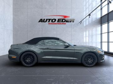 Ford Mustang - 7