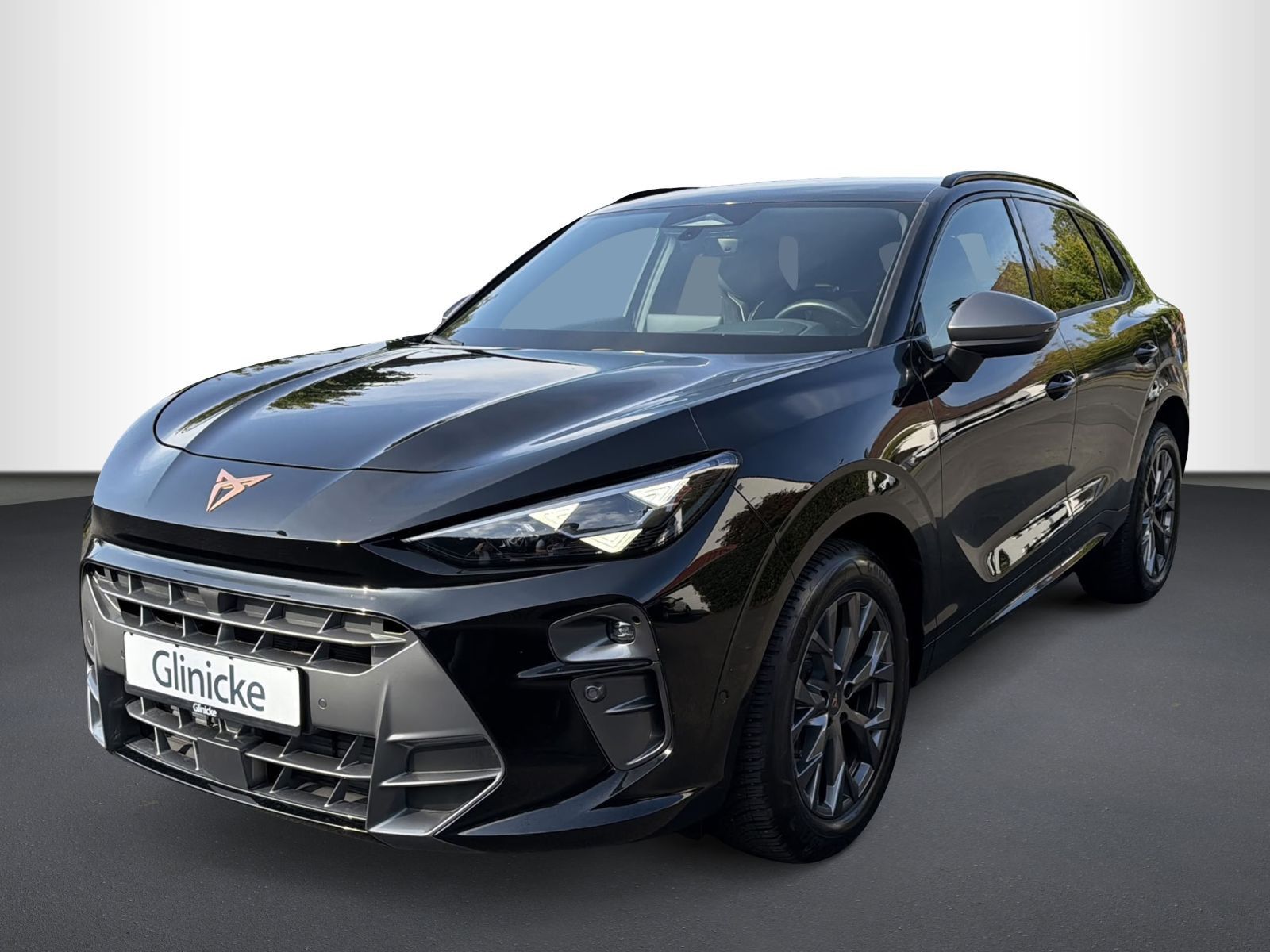 Cupra Terramar - Bild 2